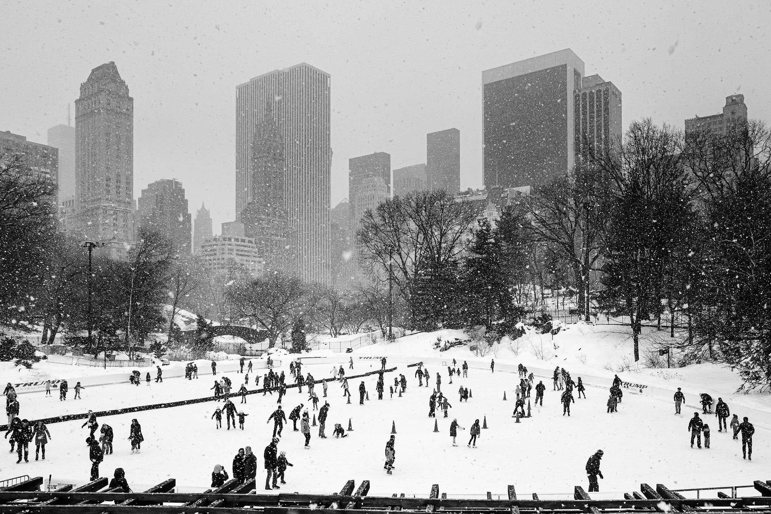 CentralPark1